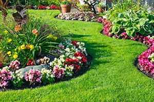 spring hoa landscaping