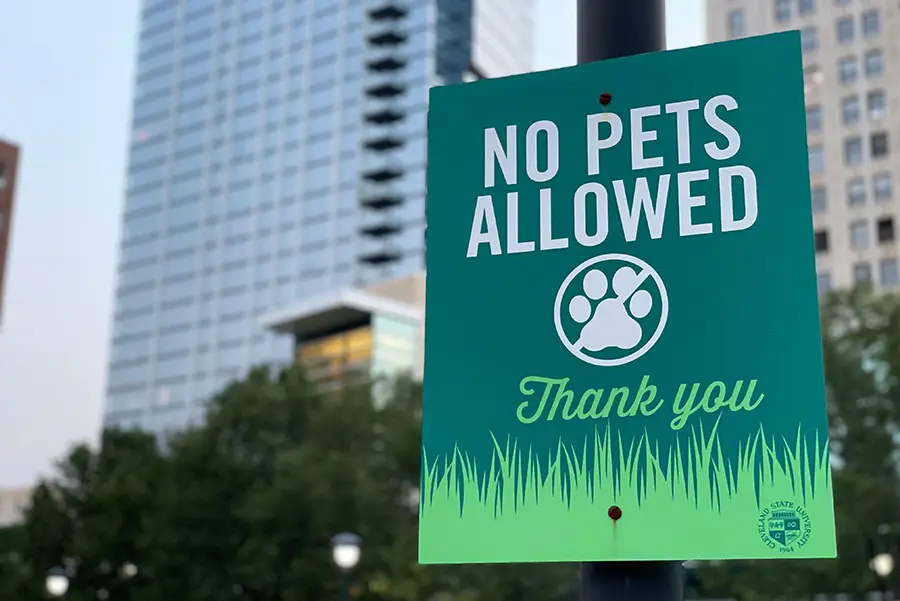 Unenforceable HOA Rules In DC